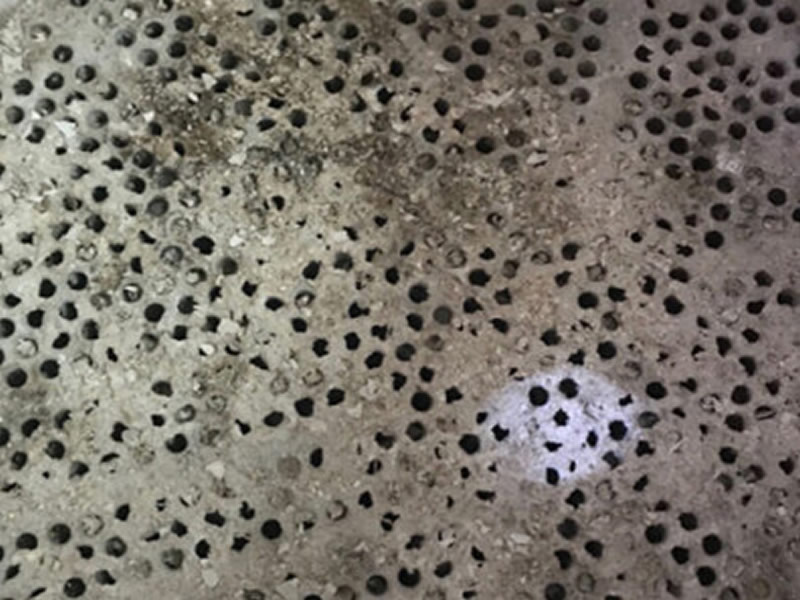 蒸發器（qì）清（qīng）洗（xǐ）